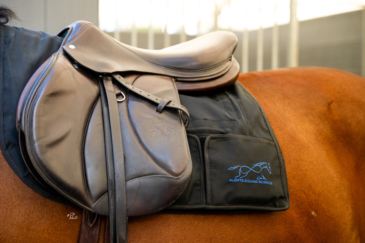 Foresight Tracker - Special offer at Nilforushan Equisport Events!